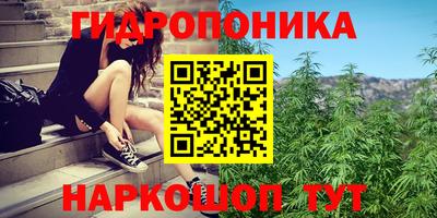 ALPHA PVP Краснознаменск