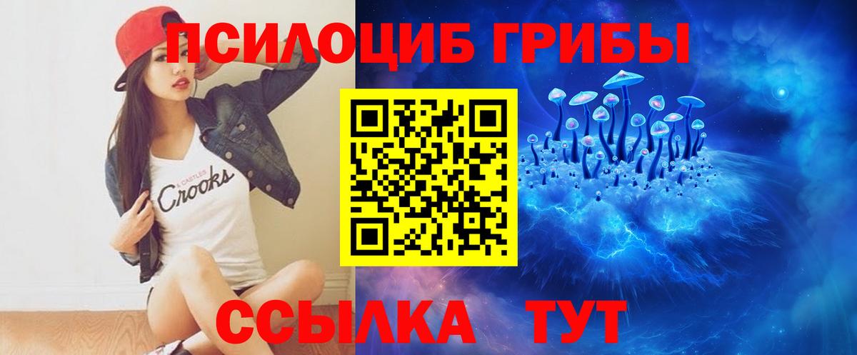 Псилоцибиновые грибы Psilocybe Шебекино