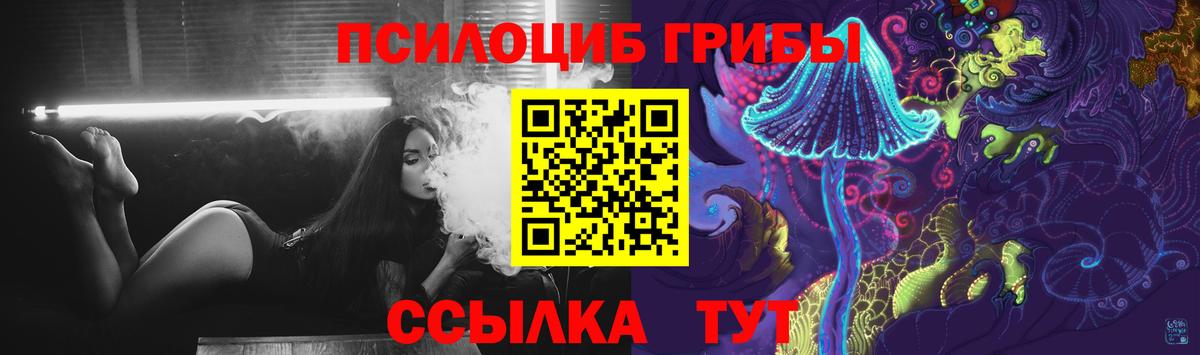 Шебекино  Псилоцибиновые грибы Psilocybine cubensis  как найти закладки  Вход с VPN  Галлюциногенные грибы мухоморы 